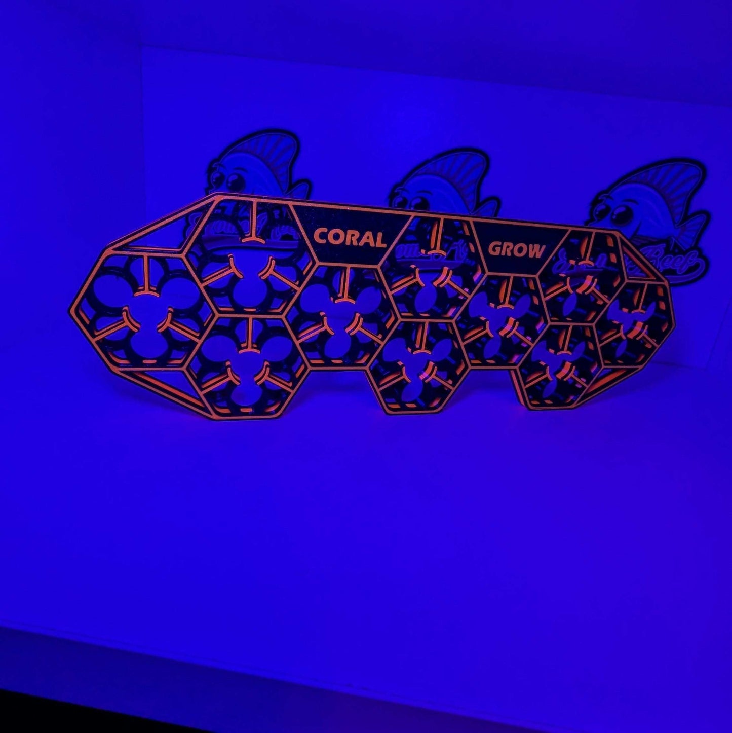 Coral Grow 10-30 Ablegerdeck, modular coral frag holder with aesthetic design, fits 20mm and 33mm plugs, ideal for aquariums.