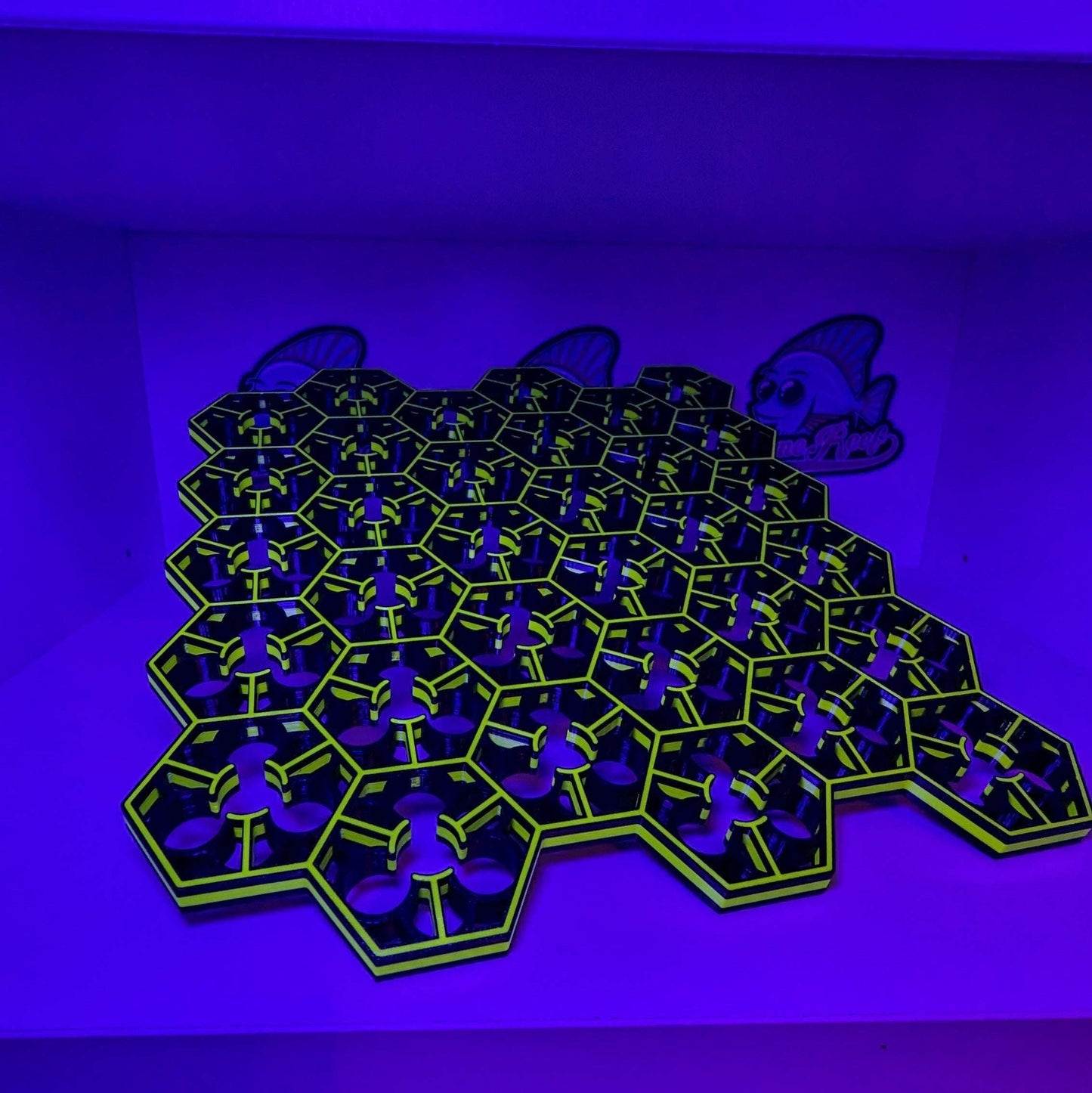 Modern design Coral Grow Salessize Ablegerdeck for coral propagation in aquarium.