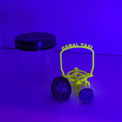 Coral Taxi - Transporthilfe für Korallenableger