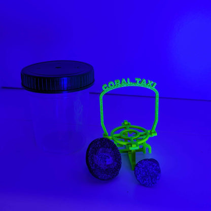 Coral Taxi - Transporthilfe für Korallenableger