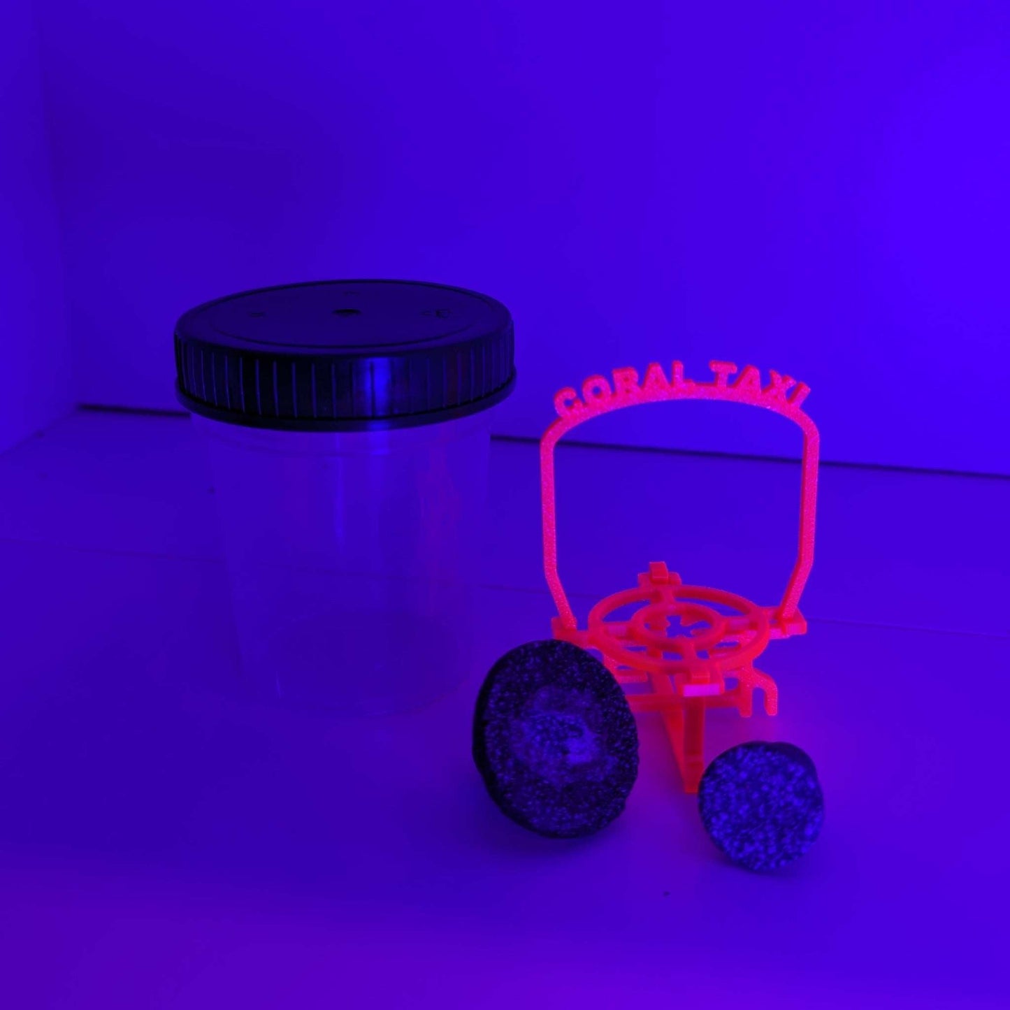 Coral Taxi - Transporthilfe für Korallenableger