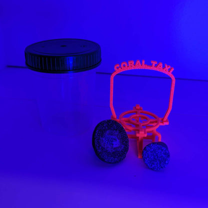 Coral Taxi - Transporthilfe für Korallenableger