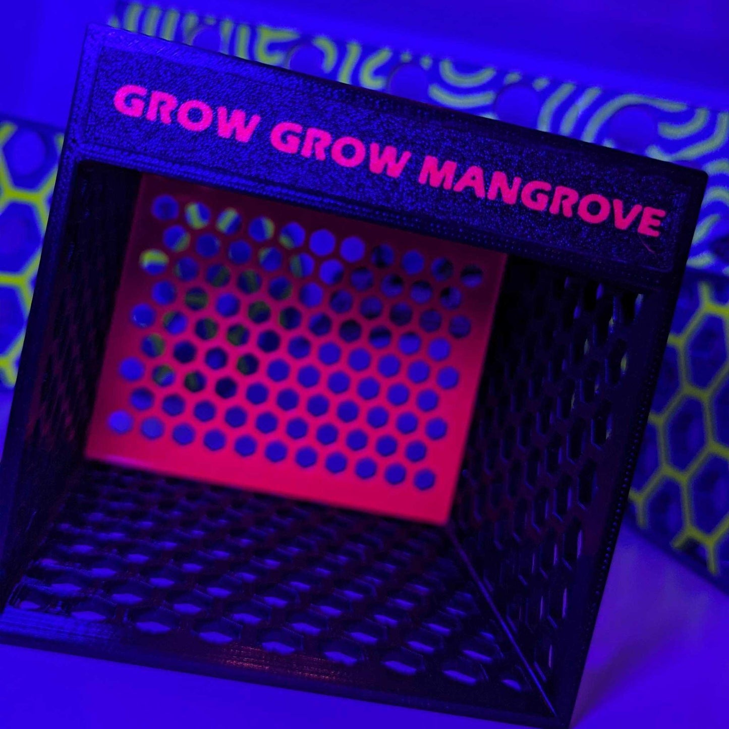 Grow Grow Mangrove Mangrovenbox for cultivating mangroves in aquariums.