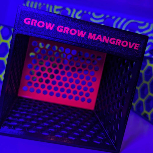 Grow Grow Mangrove Mangrovenbox for cultivating mangroves in aquariums.