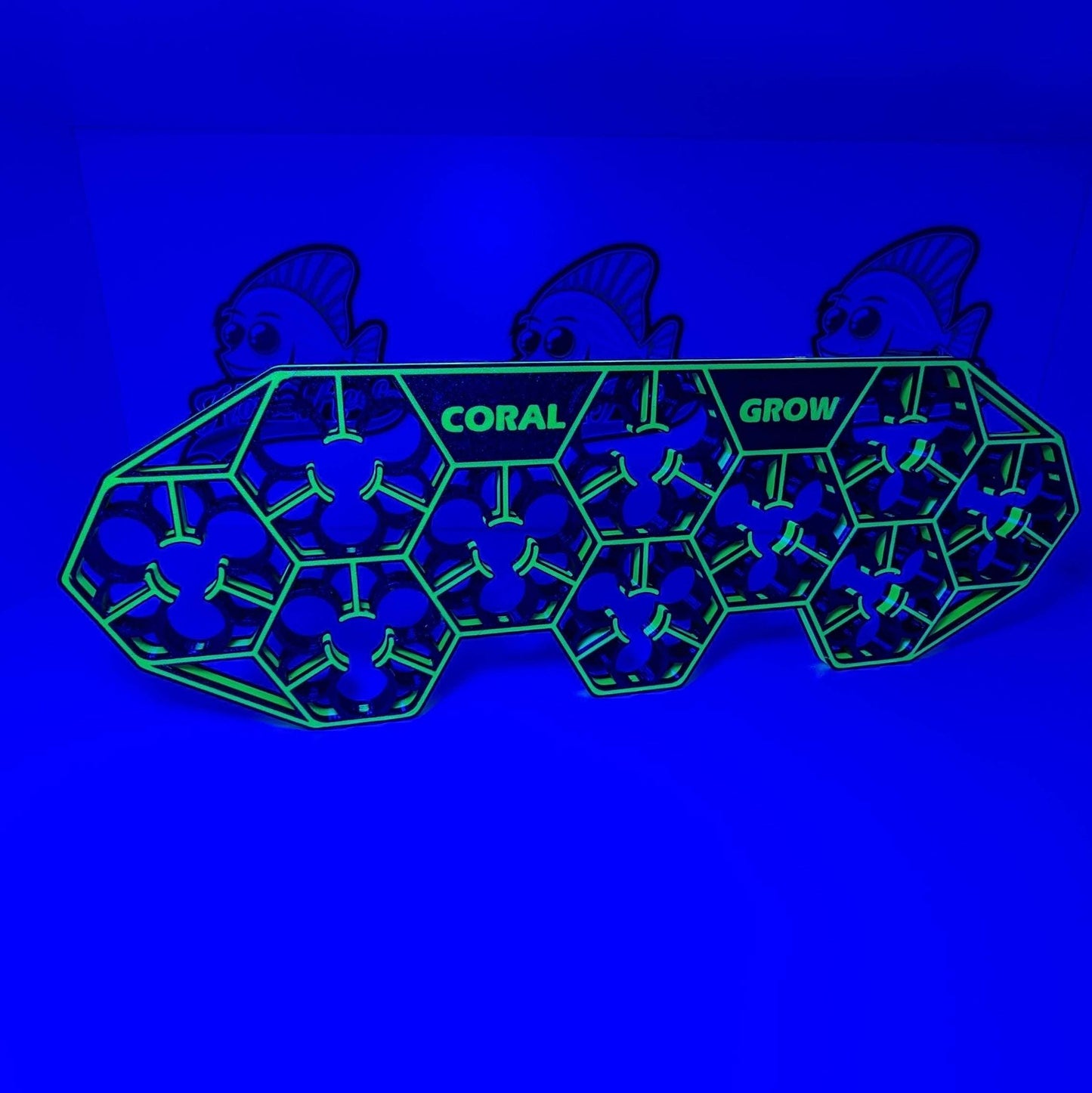 Coral Grow 10-30 Ablegerdeck for coral fragging in aquariums.